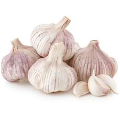 garlic.jpg
